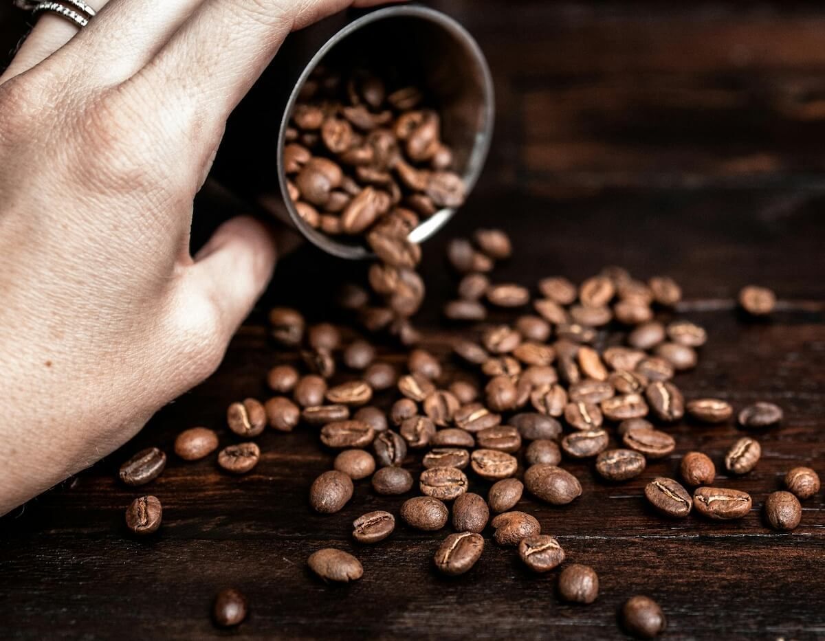 all thing about coffee