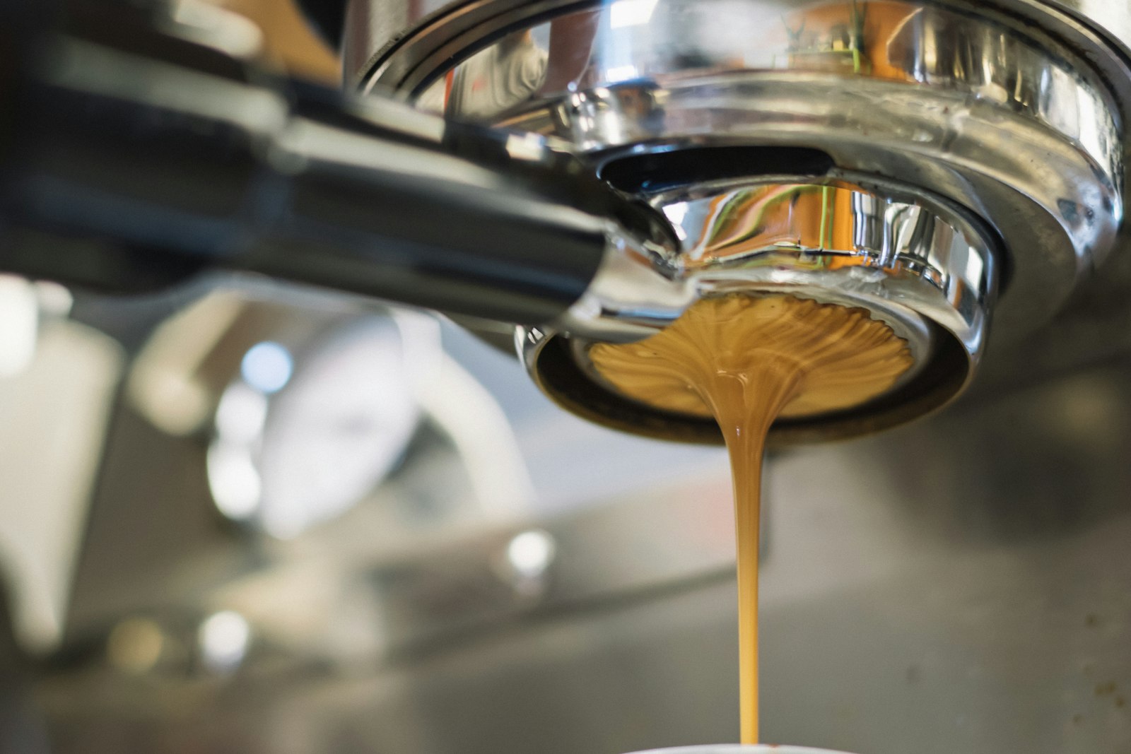 best coffee machine makers in Tampa, FL