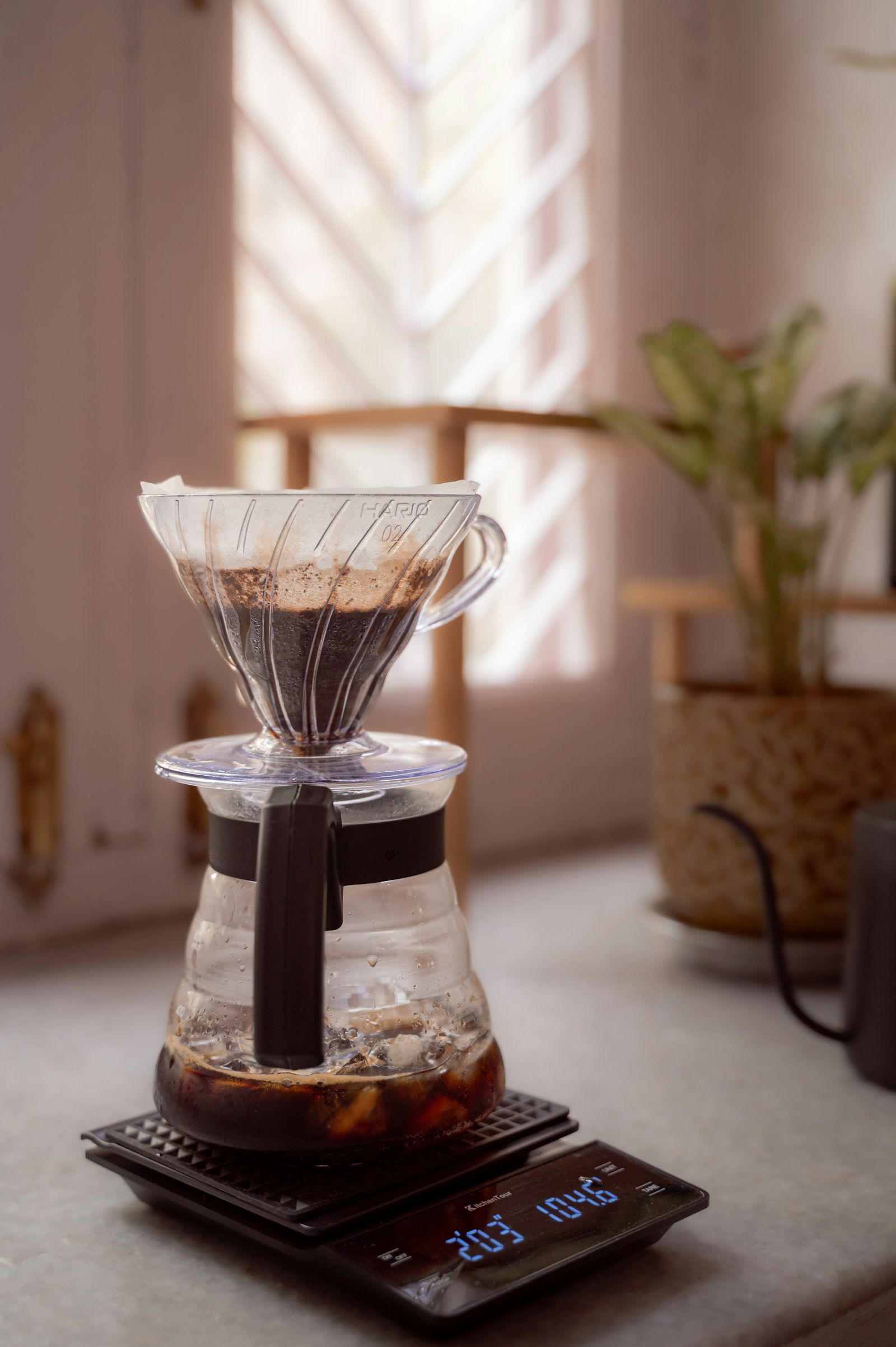 5 pour over coffee recipes from champion baristas in Memphis, TN 5 pour over coffee recipes from champion baristas in Memphis, TN